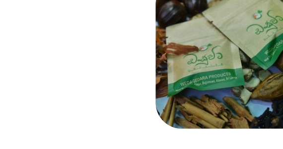 08cc77f4-6534-4269-9ed7-eed24d4a5369_removalai_preview