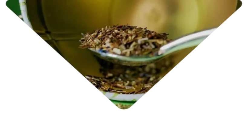 4ff8ff44-391a-456d-94dd-cfc97c7e2352_removalai_preview (1)